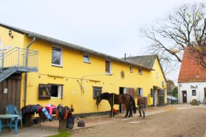 Pferdezentrum Hof Becker