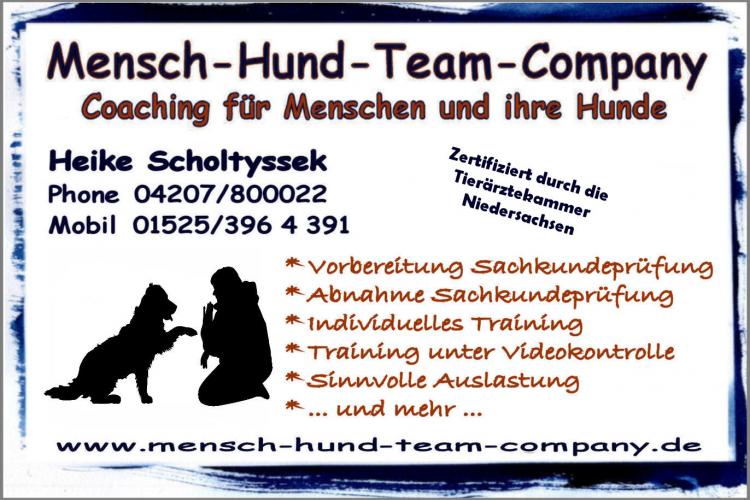 Mensch-Hund-Team-Company