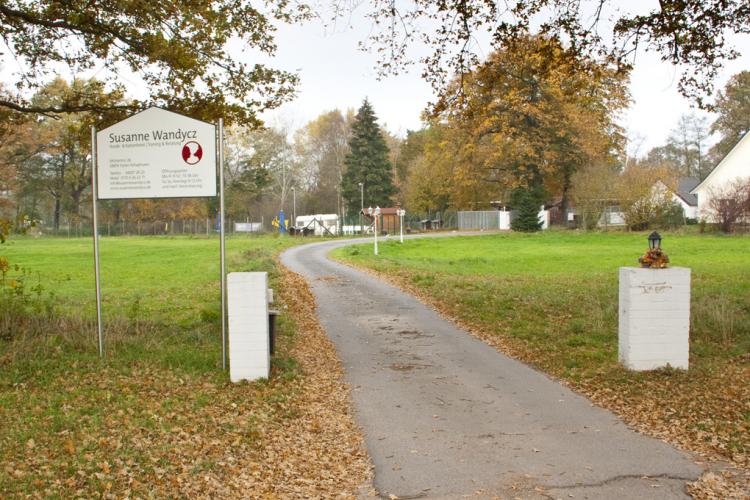 Hunde- und Katzenhotel Susanne Wandycz