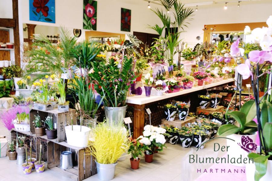 Der Blumenladen